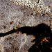 Jennifer Walden Photo 17