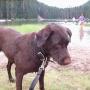 Sheryl Stevens Photo 22