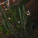 Dawn Birdsong Photo 11