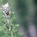 Jason Herb Photo 7