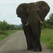 Paul Natale Photo 26