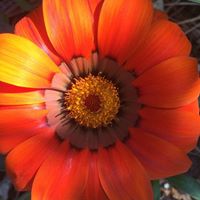 Laura Dykes Photo 25