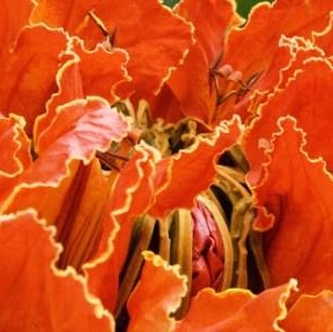 Marilyn Calvert Photo 23