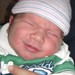 Michael Poole Photo 15