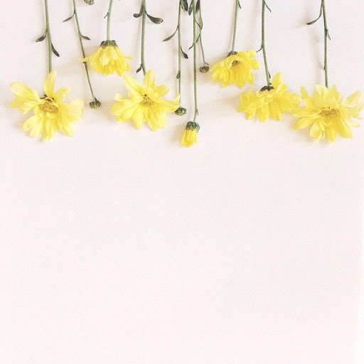 Anne Hobson Photo 4