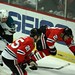 Shelley Johnson Photo 25