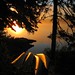 Jack Swaim Photo 5