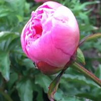 Heather Binns Photo 11