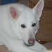 Mandy White Photo 24
