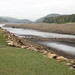 Robert Drane Photo 21