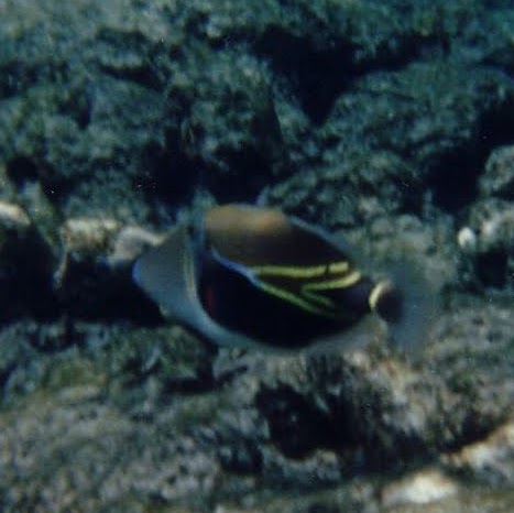 Kenneth Key Photo 10