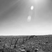 Michael Timmins Photo 34