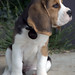 Bonnie Little Photo 10