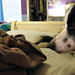 Dorothy Rudy Photo 16