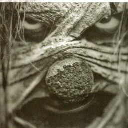 Jonathan Tarr Photo 13