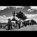 Isidro Garcia Photo 46