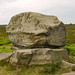 Mark Stanton Photo 12
