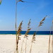 Sandy Whiting Photo 8