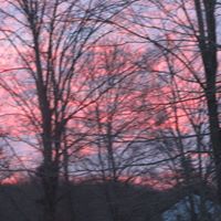 Timothy Field Photo 26