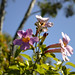 Barbara Rudolph Photo 25