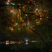 Thang Ho Photo 22