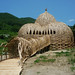 Chih Wang Photo 20