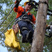 Troy Workman Photo 17