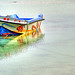 Arif Mohamed Photo 22