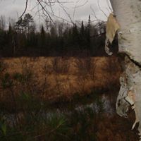 Steve Huber Photo 14