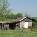 Kelly Pickens Photo 15