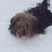 Lora Conner Photo 4