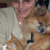 Judy Madsen Photo 18
