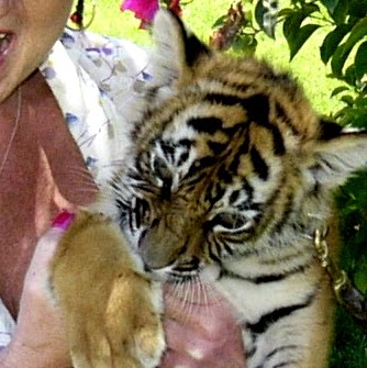 Debra Dunlap Photo 20