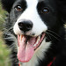 Jess Matlock Photo 16