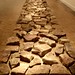 Richard Lines Photo 33