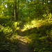 John Trail Photo 16