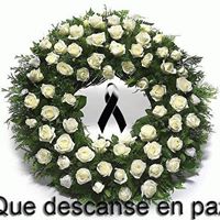 Dinora Chavez Photo 4