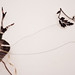 Adam King Photo 13