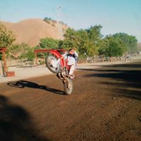 William Partridge Photo 12