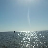 Michael Wiley Photo 36