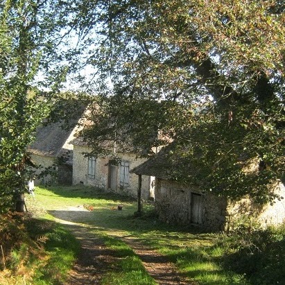 Barbara Walton Photo 10