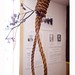 Joseph Browder Photo 14