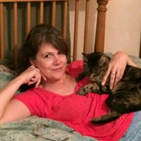 Lisa Theriault Photo 12