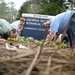 James Mayberry Photo 11
