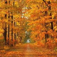 Terrie Atkins Photo 6
