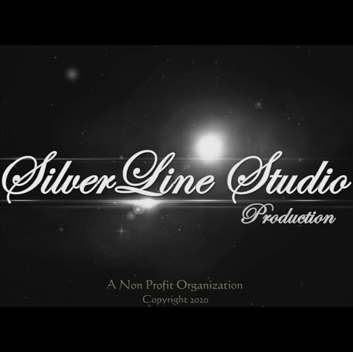 Viorel Diacu Photo 8