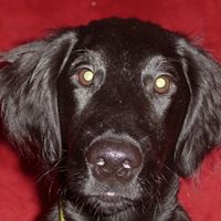 Mary Strawn Photo 21