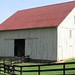 Nancy Kraus Photo 10