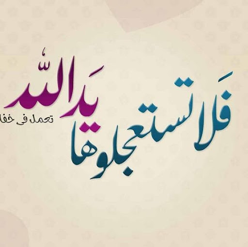 Salma Basha Photo 12