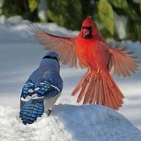 Gail Rasmussen Photo 28